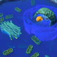 Image for article titled How database searches solved a 50-year-old medical mystery